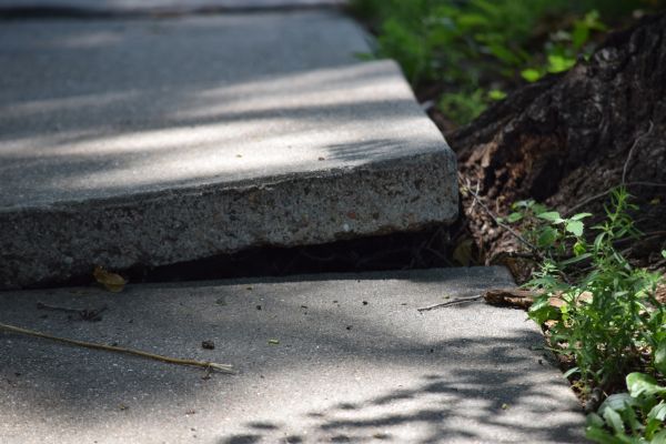 Cost of Concrete Lifting in Palmetto