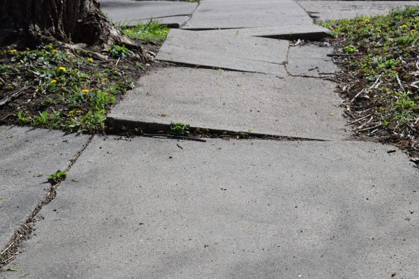 Cost of Uneven Sidewalk Repair in Palmetto